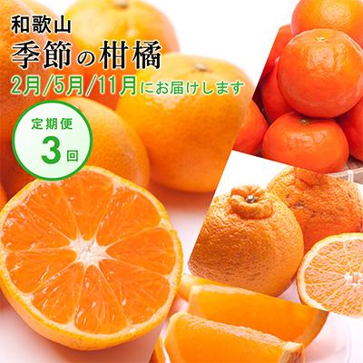 ふるさと納税 日高町 【発送月固定定期便】季節の柑橘定期便B【フルーツ定期便】【和歌山県有田】全3回