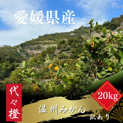 【ふるさと納税】代々橙みかん20kg (家庭用・サイズ混合)【H83-11】【1543881】