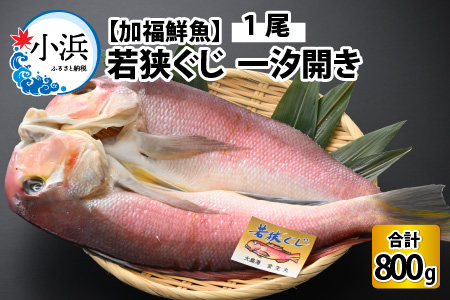 【加福鮮魚】若狭ぐじ 一汐開き 1尾 800g　甘鯛 タイ アカアマダイ 焼き魚 高級[C-015005]