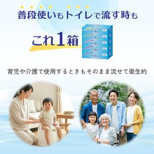 【3回｜3ヶ月ごと定期便】エルモア 水に流せるティシュー 60箱 5個×12パック ティッシュ ティッシュペーパー ボックスティッシュ 日用品 消耗品 備蓄 防災 愛媛県 四国中央市