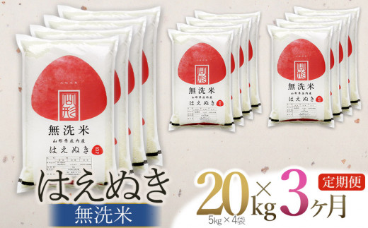 【定期便】【令和6年産】 はえぬき 無洗米 20kg(5kg×4袋) ×3回(計60kg) 山形県庄内産　有限会社 阿部ベイコク