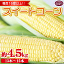 【ふるさと納税】予約受付！期間限定！ とうもろこし ＜宮崎県産 スイートコーン 約4.5kg＞※入金確認後、2025年5月下旬〜6月中旬迄に順次出荷 先行予約 穀物 野菜 青果 甘い 季節限定 JAみやざき宮崎中央地区本部管内産 JAみやざき 宮崎県 国富町【冷蔵】