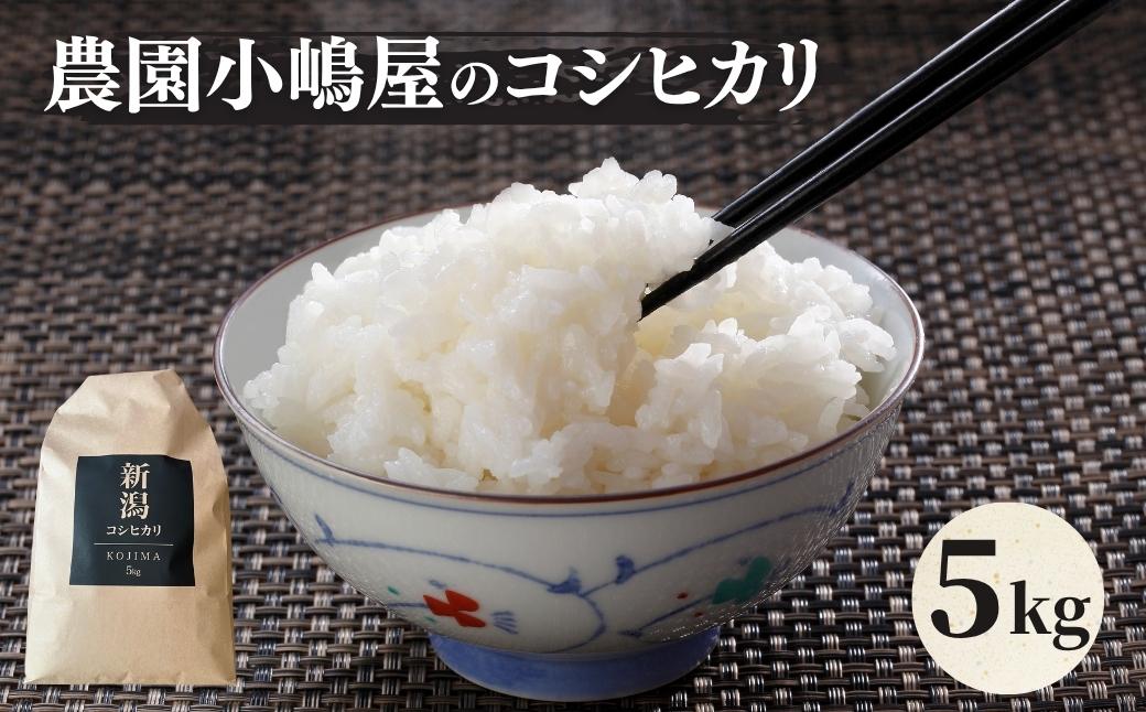 令和7年産 農園小嶋屋の五泉産コシヒカリ 5kg