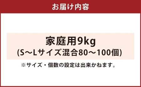 叶果樹園 みかん 家庭用 約9kg（S～Lサイズ混合80～100個） ミカン フルーツ 果物 くだもの サイズ混合 常温 国産 【2026年10月下旬～12月上旬迄順次発送予定】