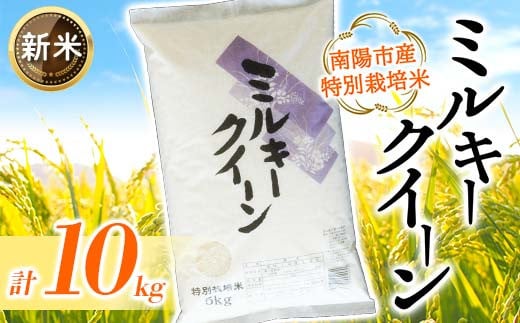 
            【令和7年産 新米 先行予約】 【金賞受賞農家】 特別栽培米 ミルキークイーン 計10kg (5kg×2袋) 《令和7年10月上旬～発送》 『あおきライスファーム』 山形南陽産 米 白米 精米 ご飯 農家直送 山形県 南陽市 [2409-R7]
          