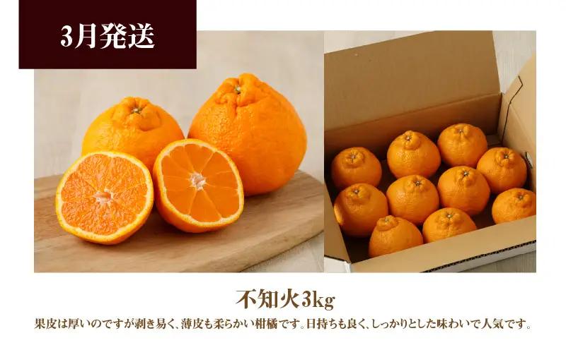 S040-T09_【お試し定期便】天草・下浦の旬の柑橘3種Bセット