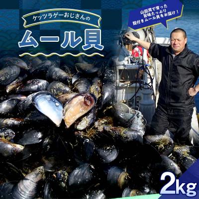 ふるさと納税 山田町 三陸山田産 山田 の ムール貝 2kg