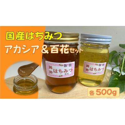 ふるさと納税 飯能市 国産はちみつ食べ比べセット(百花とアカシア)各500g