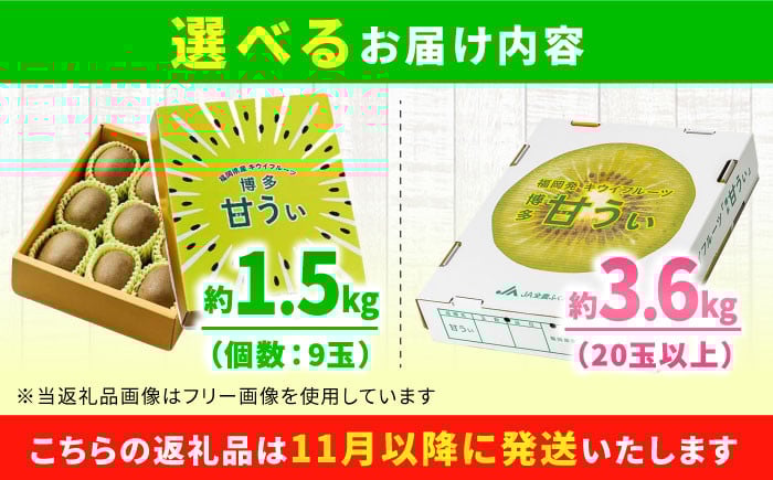 果物 博多甘うぃ キウイ きうい 果物 フルーツ