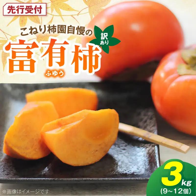 【先行受付】 訳あり 富有柿 3kg こねり柿園自慢の富有柿 _KNR0708