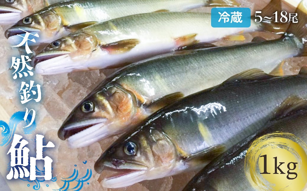 
            【祝！！生鮎解禁！】四万十川上流の天然釣り鮎 1kg【冷蔵5～18尾】【着日指定不可】Esj-32k  あゆ アユ 魚 魚介 川魚 塩焼き 冷蔵 鮎 塩焼き 天然
          