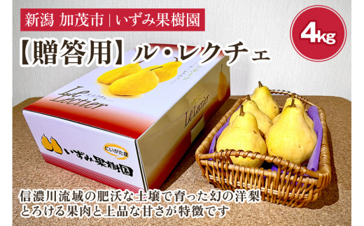 【2026年先行予約】【贈答用】西洋梨 ル・レクチェ 約4㎏（9～12玉）〈11月下旬～順次出荷〉 ルレクチェ ル・レクチエ ルレクチエ 幻の洋梨 フルーツ 贈答 冬の味覚 加茂市 いずみ果樹園