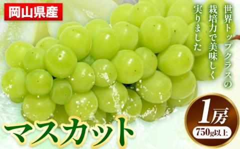 【先行予約】 岡山県産 マスカット 1房 (750g以上) 【配送不可地域あり】 《7月上旬-8月末頃に出荷予定(土日祝除く)》 岡山県 矢掛町 ---osy_chbf7_af7_25_21500_1---