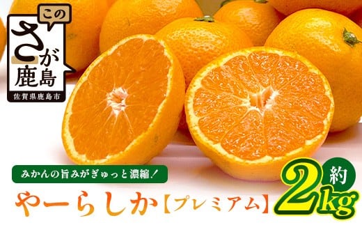 【先行予約】【発送は2026年10月中旬から11月上旬ごろ】やーらしかみかん”プレミアム”約2kg（箱込み重量）｜【数量限定】小粒サイズ ご家庭用｜一口で食べられる濃縮旨み ｜生産者直送 国産 佐賀県産 ミカン 蜜柑 果物 フルーツ 送料無料  A-224