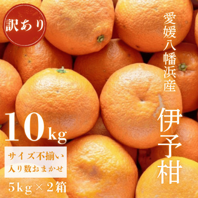 
            国安さんちの伊予柑10kg＜訳あり＞＜C20-16＞_ みかん ミカン 柑橘 くだもの 果物 フルーツ いよかん 伊予柑 ジューシー 甘い 訳あり わけあり ワケアリ 規格外 傷 不揃い 常温 デザート 産地直送 産直 愛媛 人気 【1094592】
          