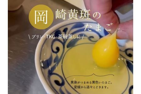 【大阪・淡路】焼鳥ぴーすけ 特産品ディナーコース 2名様（1年間有効） お店でふるなび美食体験 FN-Gourmet1155234