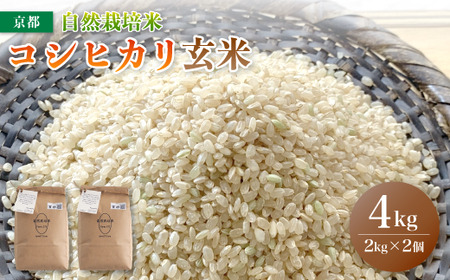 【令和6年度産 新米 】 自然栽培米 こしひかり 4kg （2kg×2） 玄米 ： お米 コシヒカリ 京都産 舞鶴産 自然栽培 精米 米 農家直送 コメ ご飯 健康 自然 無農薬