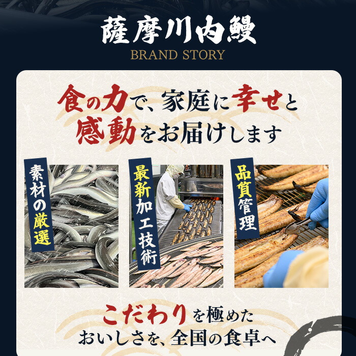 鹿児島県産うなぎ蒲焼 (計約312g / 約156g×2尾) 鰻 ウナギ うなぎ【薩摩川内鰻】 A1112