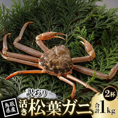 ふるさと納税 智頭町 【先行予約】鳥取県産 訳あり 活 松葉がに 500g×2杯(中村商店)2026年1月末より順次発送
