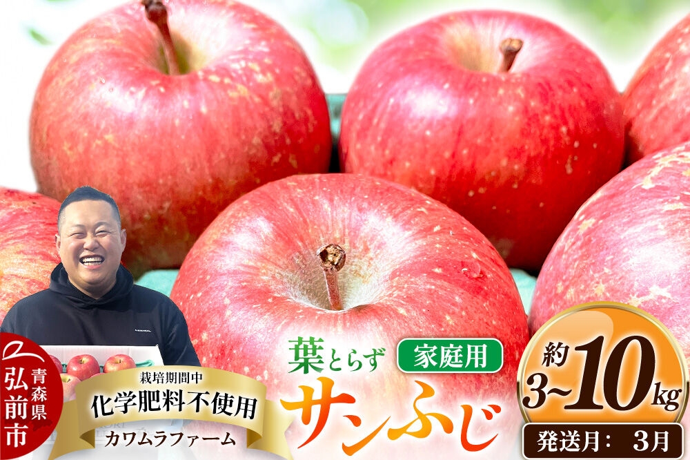 
                  りんご【27年3月クール便発送】葉とらず サンふじ【選べる約 3kg／6kg／10kg】【家庭用】先行受付 カワムラファーム 青森県 弘前市 果物 フルーツ 林檎 リンゴ くだもの 不揃い 規格外 [先行予約 クール便 産地直送 アップル おいしい 果実 美味 甘い 赤色]
                