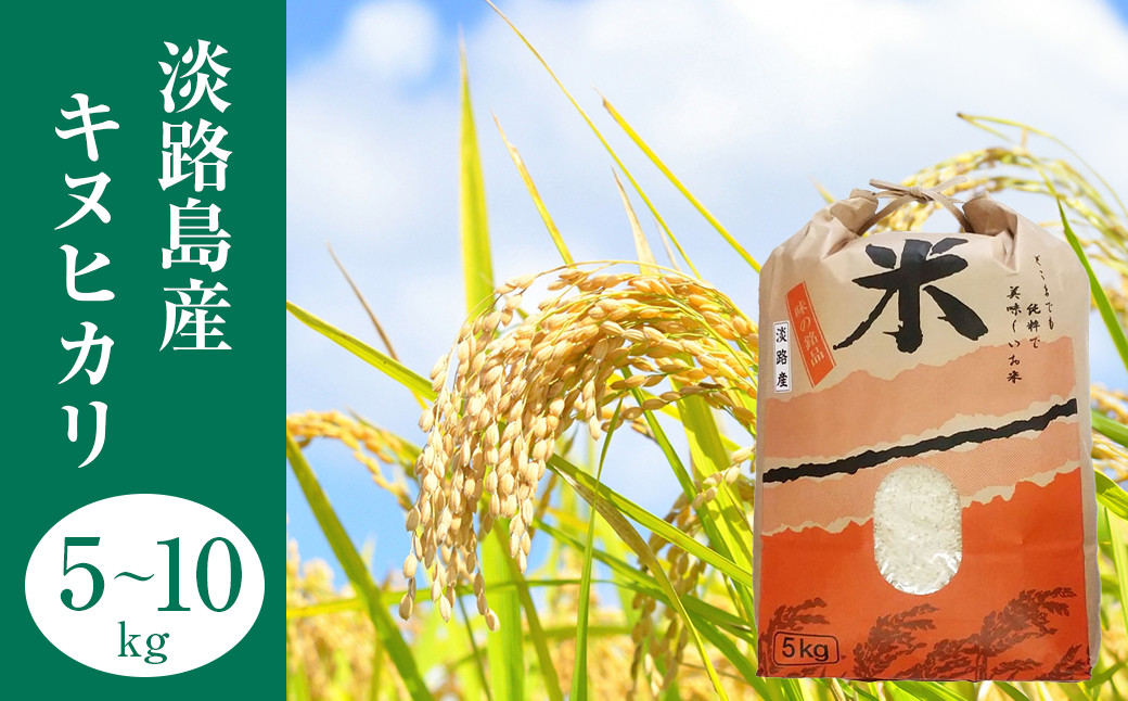 
                  淡路島産　キヌヒカリ　5kg～10kg
                