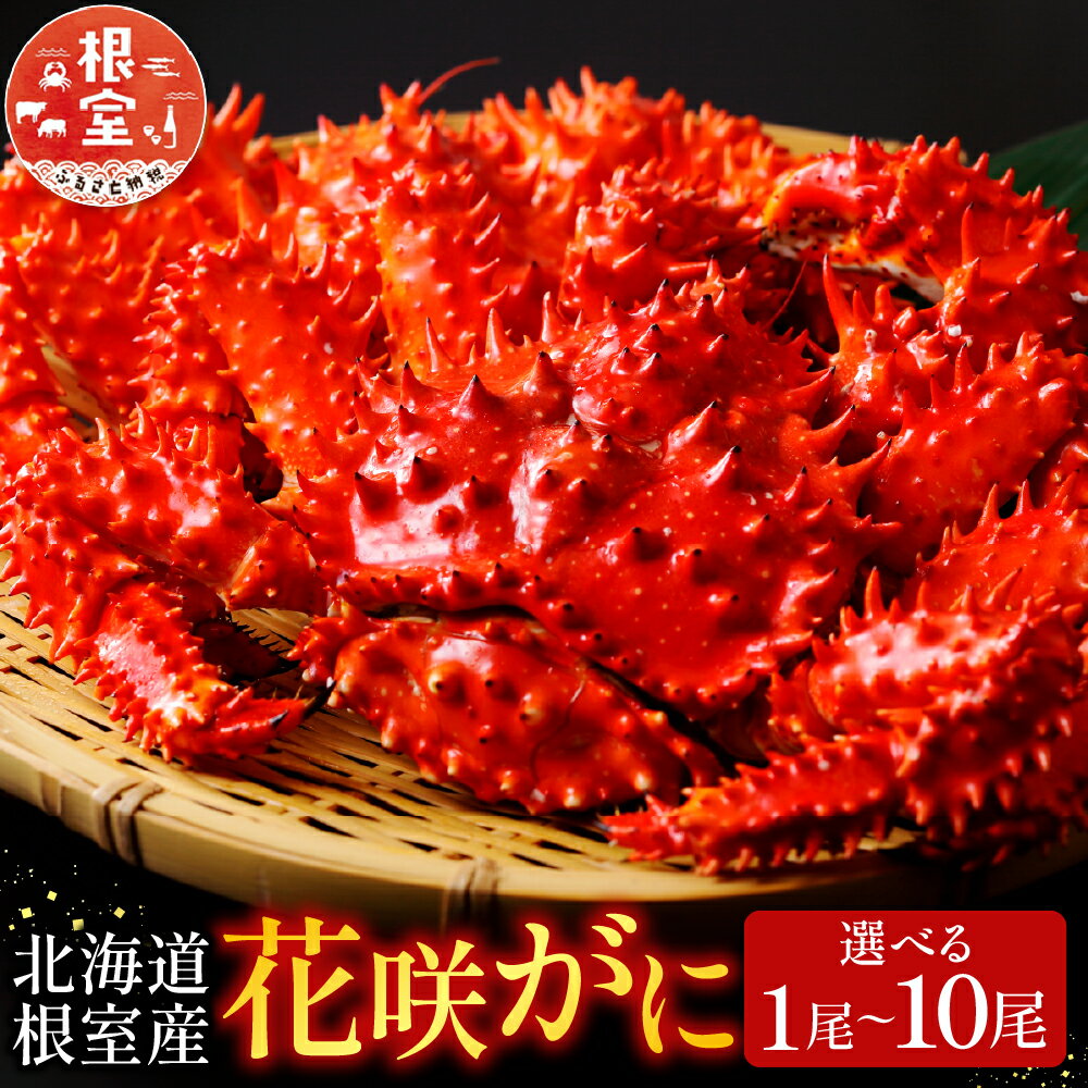 【ふるさと納税】＜年内配送可＞ [北海道根室産] 花咲かに 1 尾 ~ 10 尾 かに カニ 蟹 花咲ガニ 花咲蟹 花咲がに お取り寄せ グルメ 海鮮 ボイル 茹で蟹 茹でがに 茹でガニ 北海道 根室市 ふるさと納税