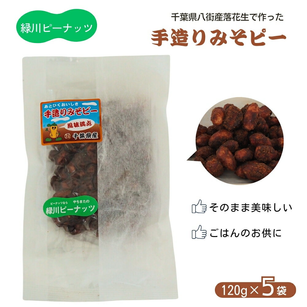【ふるさと納税】手造りみそピー（真空パック）120g×5袋 八街産落花生 緑川商店 千葉県 落花生 みそピー 郷土料理 ご飯のお供 おやつ 真空パック