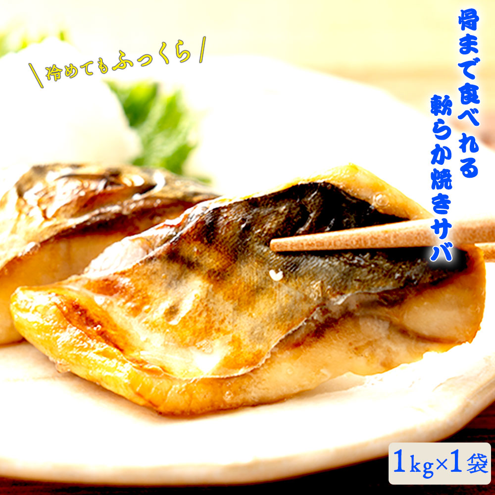 M159-0006_【ふるさと納税】焼き鯖