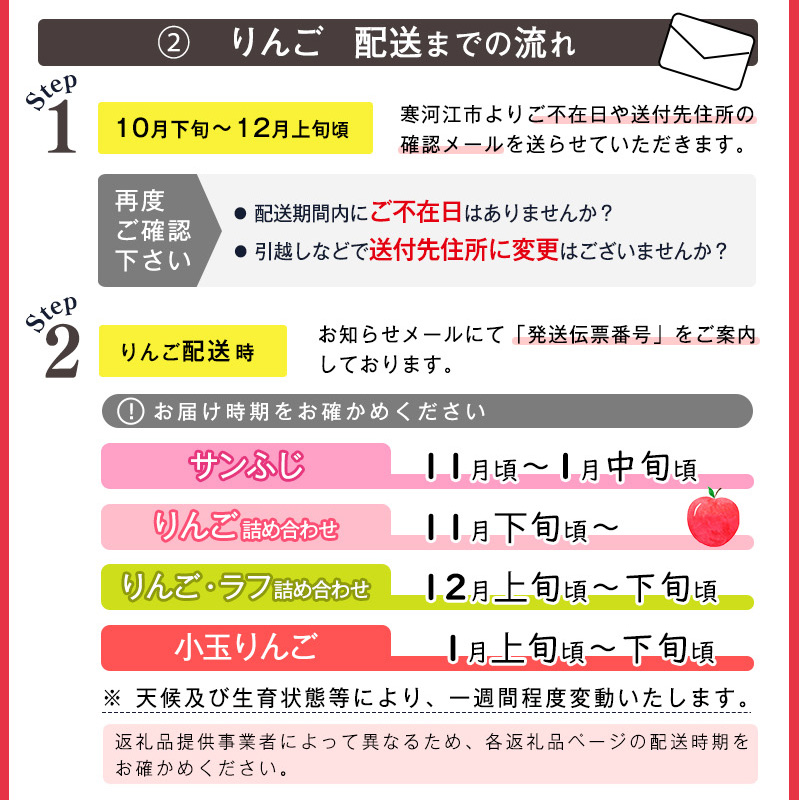 《 ご家庭用 》 サンふじ りんご 5kg 山形県産 (約10玉～20玉) 2025年産 令和7年産 【2025年11月下旬頃より順次発送予定】（フードロス対応・食品ロス・SDGs・生産者支援）　01