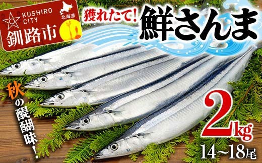 
                  獲れたて鮮さんま 2kg（14～18尾） さんま 秋刀魚 サンマ 新鮮 魚 鮮魚 海産物 旬 北海道 釧路
                