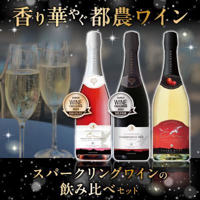 ふるさと納税 都農町 スパークリングワイン飲み比べ3本セット 酒 飲料 都農スペシャル 国産_T014-003 |  | 01