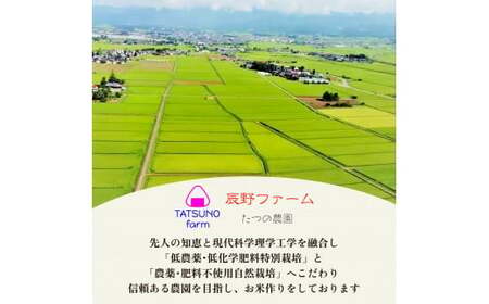【先行予約】【定期便6ヶ月】令和7年産　美米郷会津柴城米　特別栽培米コシヒカリ　白米　5kg×6回　精米仕立て発送　ＧＡＰ認証農園産　【07208-0329-C】