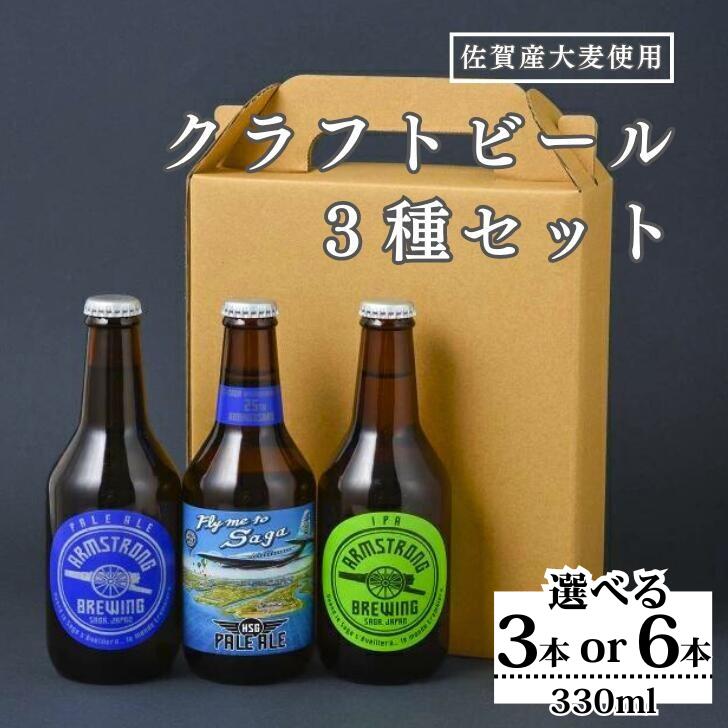 【ふるさと納税】〈アームストロング〉クラフトビール3本セット：B130-031