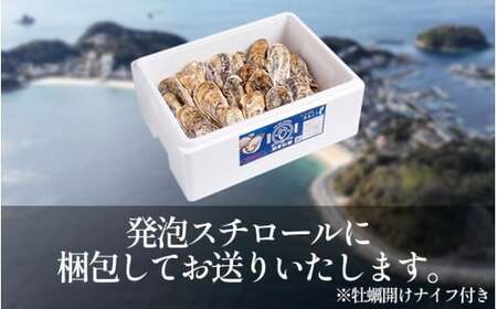 訳あり 牡蠣 かき 生食用 冷蔵 20個 朋輩 牡蠣 篠島 かき 貝 かい オイスター 篠島 かき 貝 かい オイスター 篠島 かき