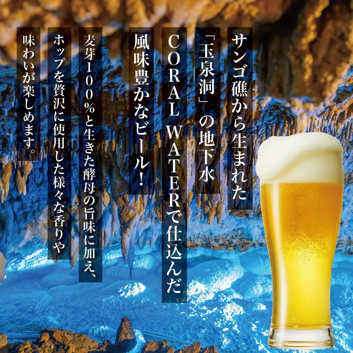 沖縄サンゴビール 定番3種 12本セット   