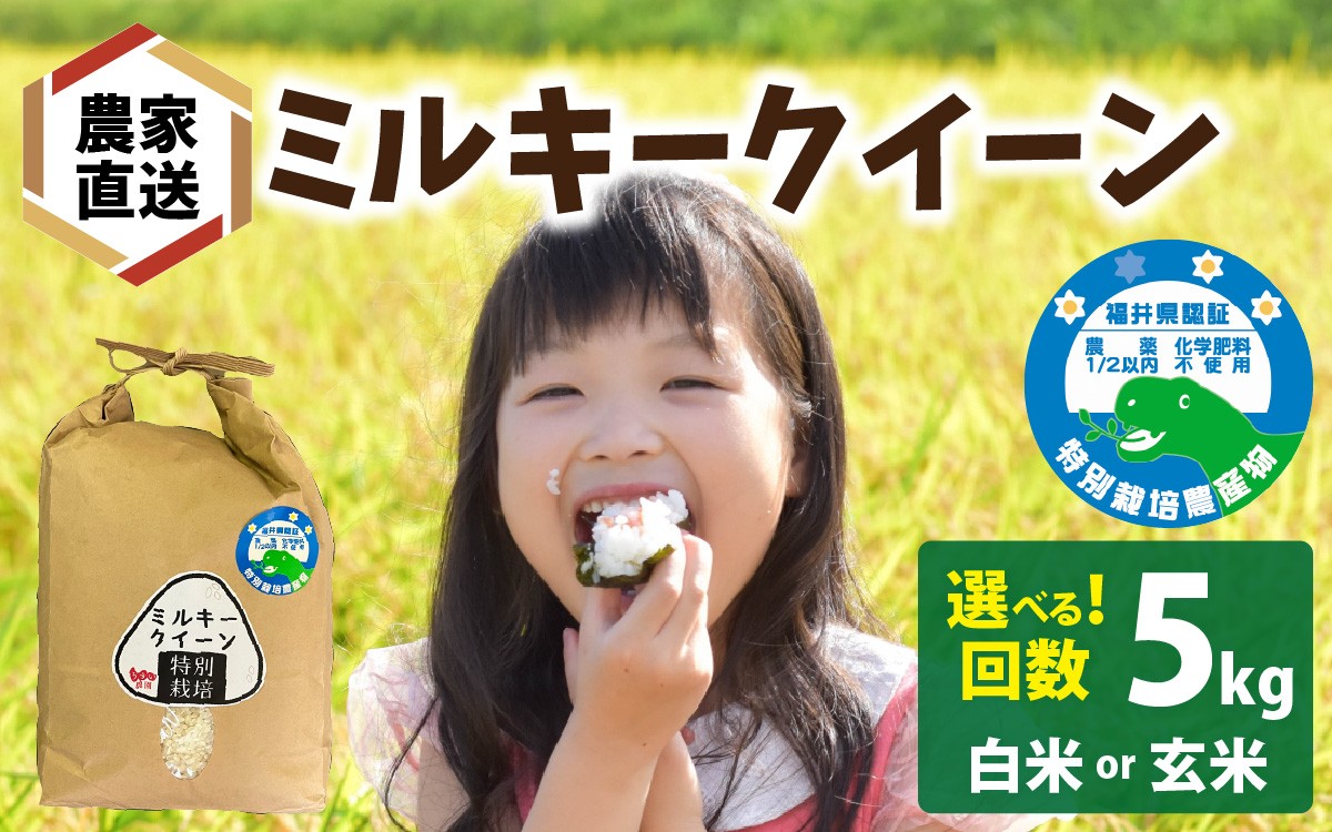 
                  【先行予約】【 令和8年産 新米 】【選べる精米方法／お届け回数】 ミルキークイーン 5kg×1袋（計5kg）【2026年10月より順次発送】 農家直送 精米 玄米 米 福井 南越前町 うすい農園  | みるきーくいーん お米 ごはん ご飯 コメ 新米  国産  定期便 送料無料 ミルキークイーン ミルキークィーン
                