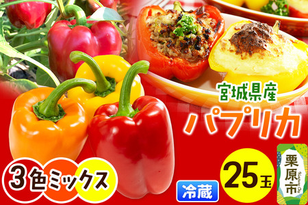 【新鮮・安全・安心　宮城県産パプリカ】3色MIX（赤黄橙）25玉詰め