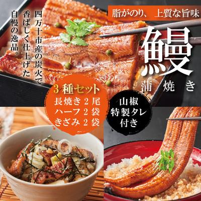 ふるさと納税 四万十市 &lt;四万十食品&gt;うなぎ蒲焼　長尾2尾+ハーフ2袋+きざみ2袋/D