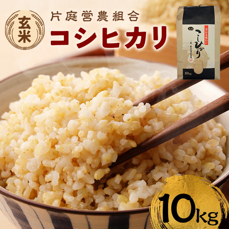 【ふるさと納税】 コシヒカリ 玄米 10kg 令和7年産 新米 R7年産 こしひかり 米 こめ コメ お米 国産 ごはん ご飯 げんまい 取り寄せ お弁当 弁当 おにぎり 米10キロ 茨城県 笠間市 いばらき