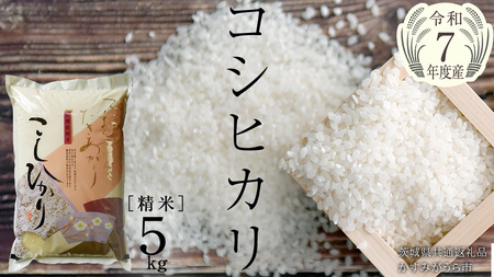 ＼ 7月出荷 ／【令和7年産】コシヒカリ 精米5kg（5kg×1袋）（茨城県共通返礼品 かすみがうら市産） [EX010sa-07]