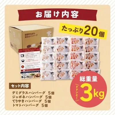 Y61-32 Best4バーグ 20個セット ハンバーグ