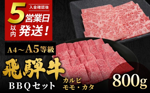 
                  【発送時期が選べる】 飛騨牛 A4~A5等級 飛騨牛 BBQセット 計800g (カルビ+もも・カタ焼肉用) 岐阜県産 A4 A5 焼肉 詰め合わせ 黒毛和牛 カルビ もも かた 赤身 牛肉 牛 国産 お取り寄せ 自宅用 和牛 小分け 最短発送 肉のひぐち
                