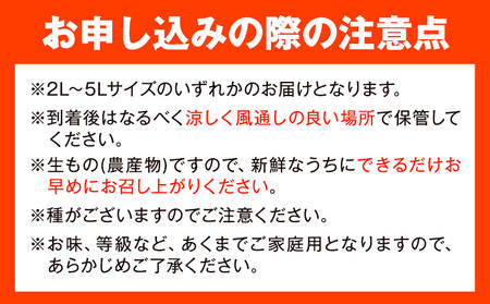 大玉 ご家庭用はるみ約5kg(2L~5L サイズお任せ)