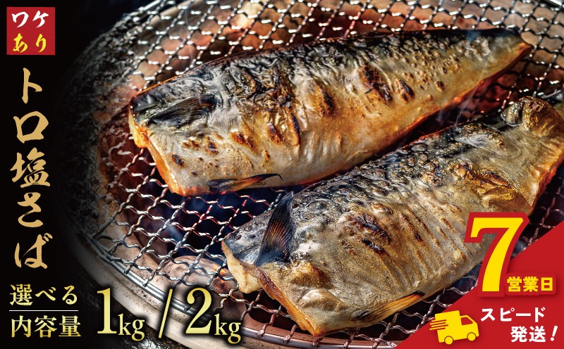 
                  ＼ スピード発送 ／ 訳あり トロ 塩サバ フィレ 約1kg ～ 約2kg 鯖 さば わけあり 切り身 切身 塩さば 塩鯖 フィレ フィーレ 魚貝 魚介 人気 冷凍 冷凍食品 大容量 海鮮 家庭用 レシピ おかず おつまみ 惣菜 弁当 不揃い 規格外 傷 味噌煮 竜田揚げ グルメ 贈答 贈物 ギフト 長期保存 小分け お取り寄せ ふるさと納税 ふるさと納税鯖 送料無料 千葉県 銚子市 飯田商店
                