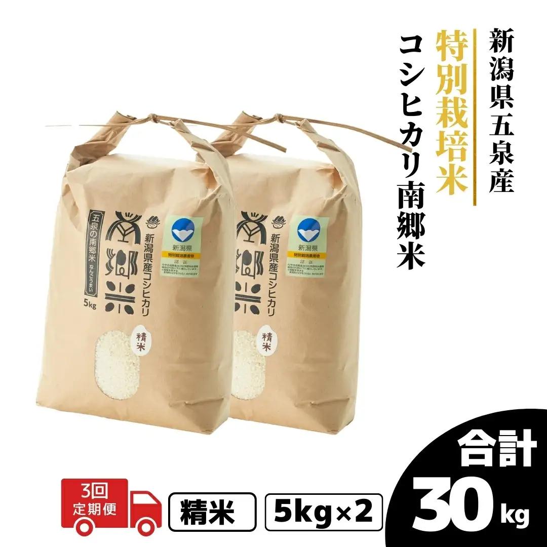 令和7年産米〈3回定期便〉特別栽培コシヒカリ 10kg（5kg×2袋）