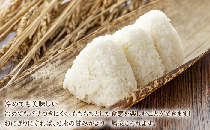 【2025年発送分 先行予約】令和7年産 ひのひかり5kg 白米 / ふるさと納税米 / 佐賀県 / 有限会社中島商店 [41AGAC003]