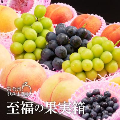 ふるさと納税 長野県 信州うちやま農園のフルーツ詰め合わせ【夏に届く】EMiNA旬の箱(7〜9kg)ナガノパープル入り