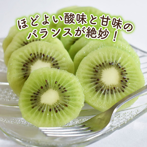 キウイフルーツ ヘイワード 【小玉】 約1.5kg 【2026年11月上旬頃から順次発送】 |  キウイ グリーンキウイ ヘイワード キウイフルーツ フルーツ 果物 きうい くだもの デザート 産地直