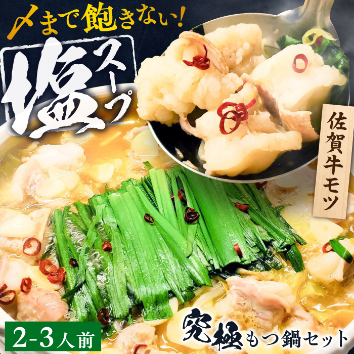 何度食べても飽きない美味しさ！こだわり 佐賀牛100% もつ鍋セット 500g(250g×2) 2~3人前 スープ・ちゃんぽん麺付 ホルモン 小腸 吉野ヶ里町/やきとり紋次郎 [FCJ100]