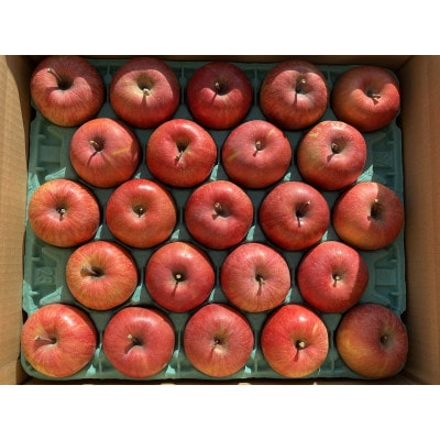 シャキシャキ!小玉 食べきりサイズ!完熟サンふじ 約5kg 信州りんご【1558032】